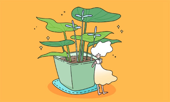 对外经济贸易大学留学预科定向学校有哪些?